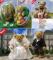 �������� �������: ������� HERMANN-Coburg 2013 ���� -  ������ ����������, ������������ ������!